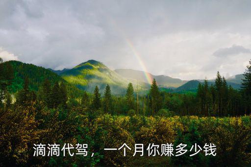 菏澤干代駕一個(gè)月多少錢,一個(gè)月你賺多少錢