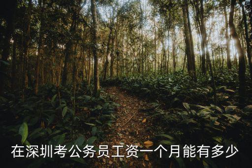 在深圳考公務員工資一個月能有多少