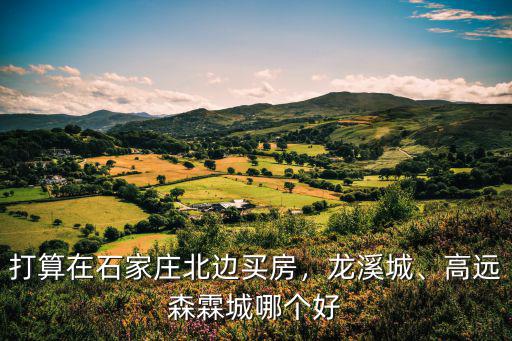 打算在石家莊北邊買房，龍溪城、高遠森霖城哪個好