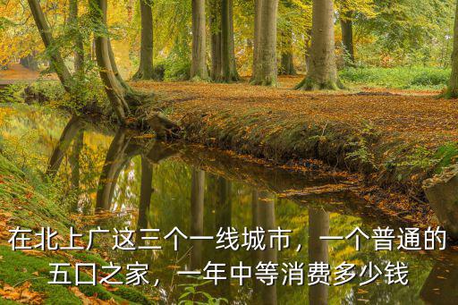在北上廣這三個一線城市，一個普通的五囗之家，一年中等消費多少錢