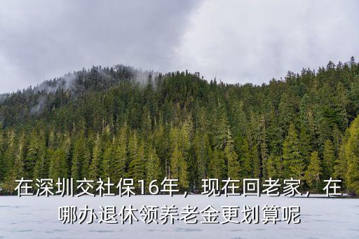 在深圳交社保16年，現在回老家，在哪辦退休領養老金更劃算呢