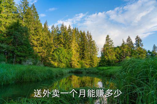 杭州中寶外賣一天能賺多少,送外賣一個月能賺多少