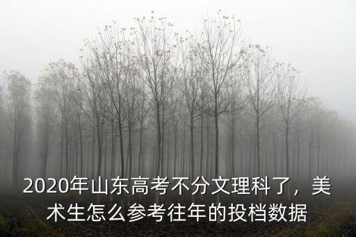 2020美術山東高考文化課多少分能過,山東省美術聯考考了225分