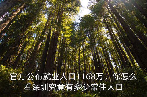 深圳失業(yè)人數(shù)有多少,深圳究竟有多少常住人口