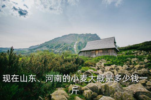 山東收購小麥多少錢,今年夏糧小麥多少錢一斤