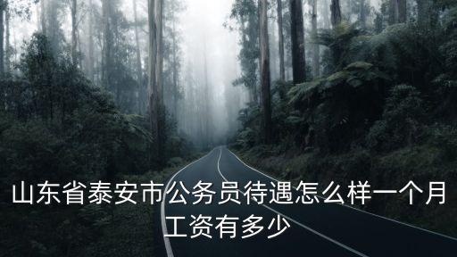 泰安公務員工資大約多少錢,副科級公務員基本工資多少