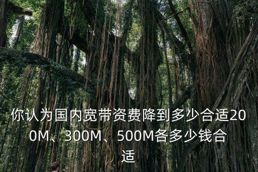 你認為國內寬帶資費降到多少合適200M、300M、500M各多少錢合適
