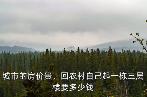城市的房價貴，回農村自己起一棟三層樓要多少錢