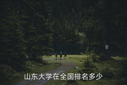 山東大學(xué)在全國(guó)排名多少