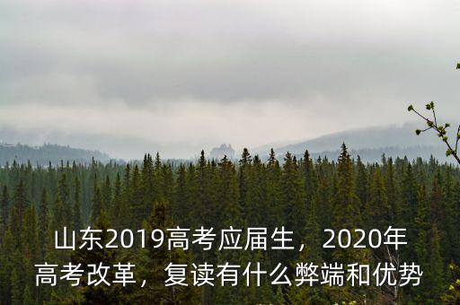 山東2019高考應(yīng)屆生，2020年高考改革，復(fù)讀有什么弊端和優(yōu)勢