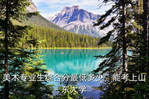 山東大學美術系多少分,美術專業生綜合分最低多少
