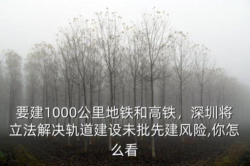 要建1000公里地鐵和高鐵，深圳將立法解決軌道建設(shè)未批先建風(fēng)險(xiǎn),你怎么看
