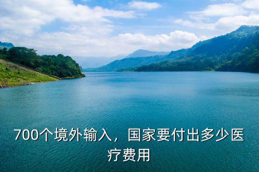 700個境外輸入，國家要付出多少醫療費用