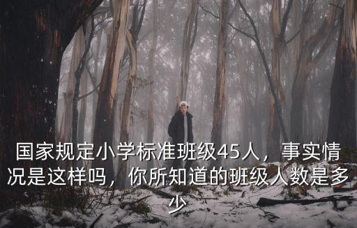 臨沂地區(qū)小學(xué)班額人數(shù)是多少人,你所知道的班級人數(shù)是多少