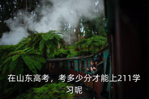 山東高考多少人可以上985,考多少分才能上211學習呢