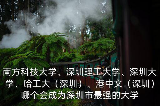 深圳的大學(xué)都在哪里,深圳有哪些不錯(cuò)的大學(xué)