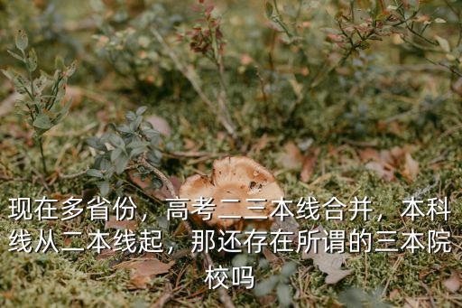 山東二本線比三本線高多少,本科線從二本線起