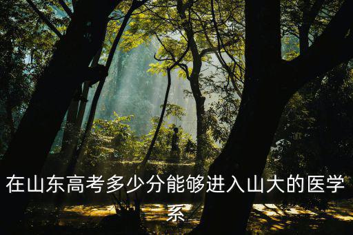 在山東高考多少分能夠進入山大的醫學系