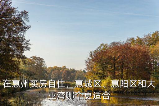 惠州三和小巷子在哪里,在惠州買房自住