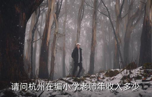 杭州余杭小學教師工資多少,小學教師的工資是多少