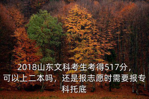 2018山東文科考生考得517分，可以上二本嗎，還是報志愿時需要報專科托底