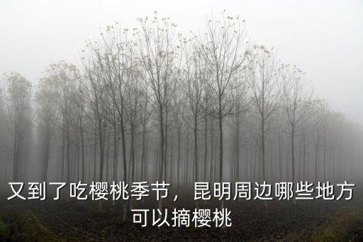 韶關(guān)周邊哪里可以摘櫻桃,昆明周邊哪些地方可以摘櫻桃