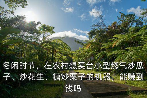 山東炒瓜子機器 小型多少錢一臺,在農(nóng)村想買臺小型燃氣炒瓜子
