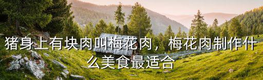 韶關(guān)哪里有梅花豬,豬身上有塊肉叫梅花肉