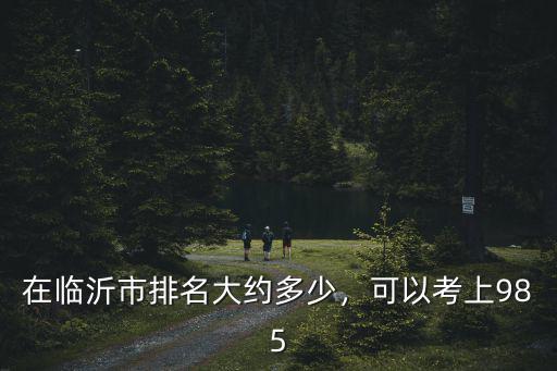 在臨沂市排名大約多少，可以考上985