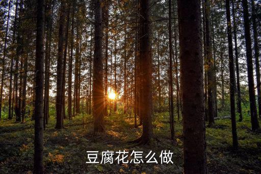 廣東人愛(ài)吃的豆花怎么做,泉州人吃的豆花是怎么制作的