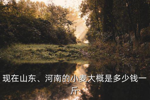 菏澤新小麥價(jià)格多少錢一斤,河南的小麥大概是多少錢一斤