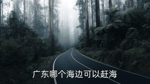 廣東佛山哪里可以趕海不收費的,廣東哪個海邊可以趕海