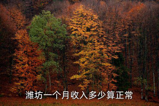 濰坊物流月工資多少錢,濰坊一個月收入多少算正常