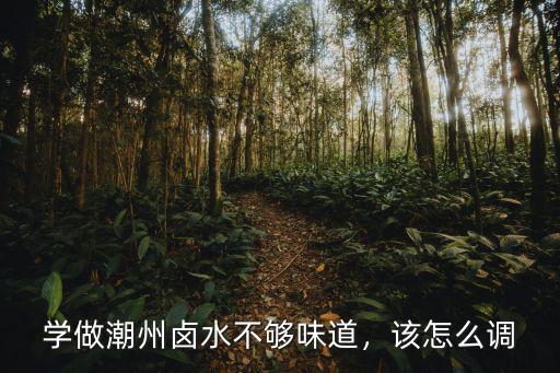 學(xué)做潮州鹵水不夠味道，該怎么調(diào)