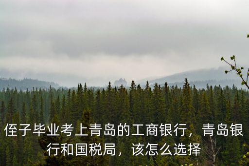 侄子畢業(yè)考上青島的工商銀行，青島銀行和國稅局，該怎么選擇