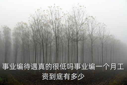 山東招遠事業編的工資多少,事業編一個月工資到底有多少