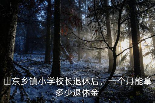山東鄉(xiāng)鎮(zhèn)小學(xué)教師一個(gè)月工資多少,鄉(xiāng)鎮(zhèn)小學(xué)教師年收入多少