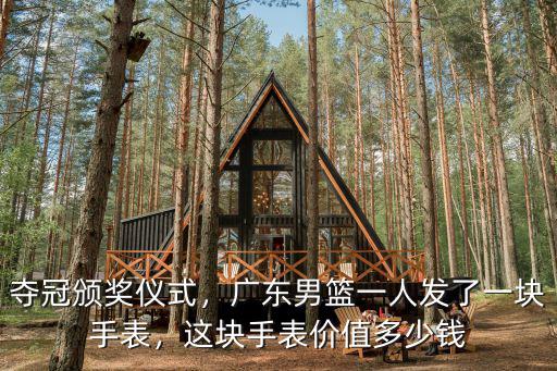 廣東握刻手表多少錢,這塊手表價值多少錢