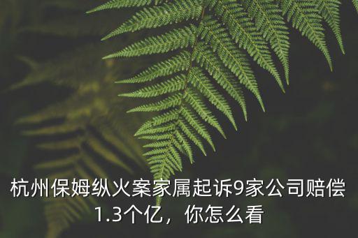 杭州保姆縱火案消防賠償多少,杭州保姆縱火案中