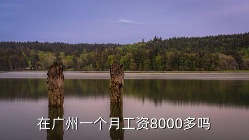 在廣州一個月工資8000多嗎