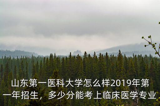 泰安迎春學校2019多少考上一二中的,泰安一中是最好的嗎