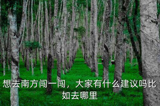 想去南方闖一闖，大家有什么建議嗎比如去哪里