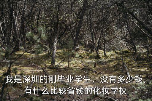 深圳化妝學(xué)校的培訓(xùn)班多少錢(qián)一個(gè)月,學(xué)化妝要多少錢(qián)