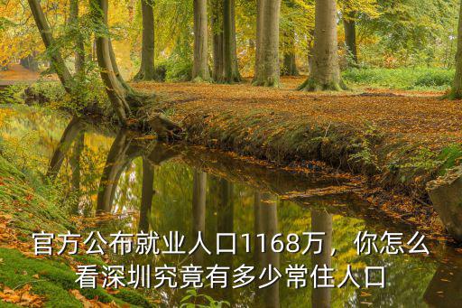 深圳區(qū)人口有多少,深圳究竟有多少常住人口