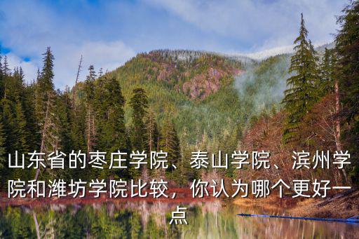 濱州州學院官網電話是多少錢,濱州學院和濰坊學院比較