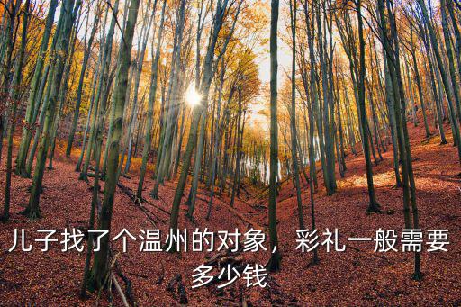 兒子找了個溫州的對象，彩禮一般需要多少錢