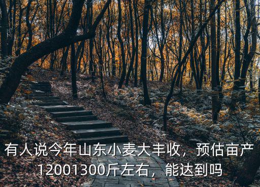 威海大叔畝產(chǎn)多少斤,預(yù)估畝產(chǎn)1200