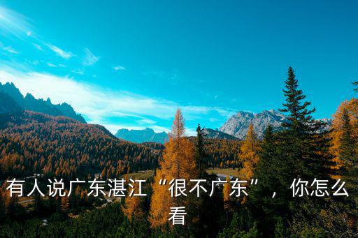 廣東湛江富宇貿易怎么樣,有人說廣東湛江很不廣東