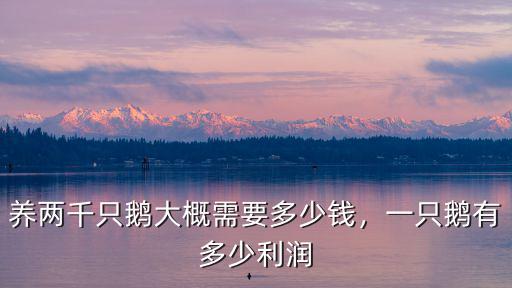 菏澤大鵝鵝蛋多少錢(qián)一個(gè),一只鵝有多少利潤(rùn)