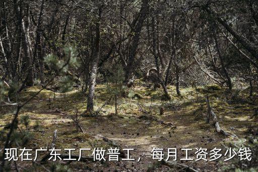 廣東開(kāi)廠老板工資多少錢(qián),每月工資多少錢(qián)